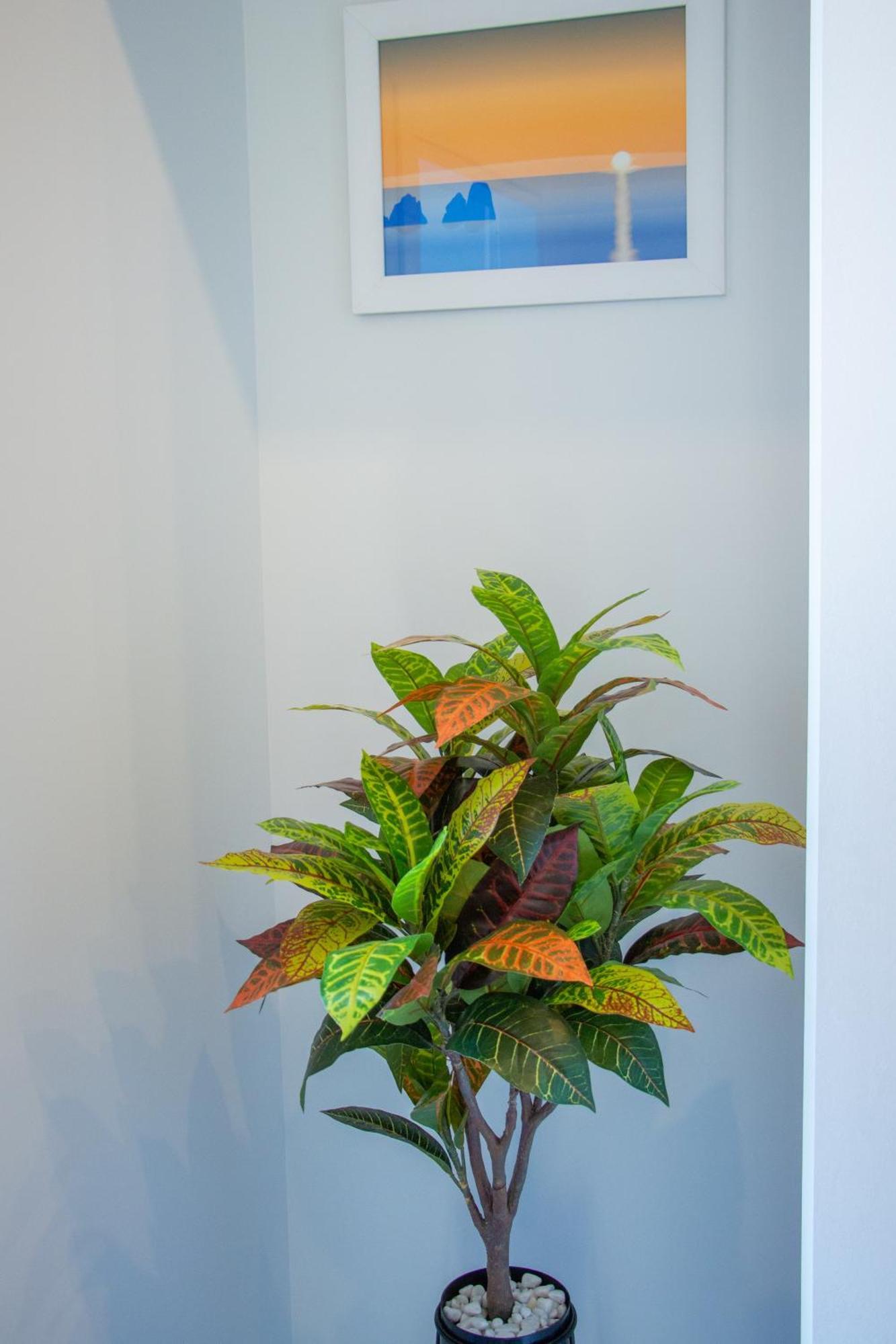 Wanderlust Aria Di Mare Apartment Napoli Bagian luar foto